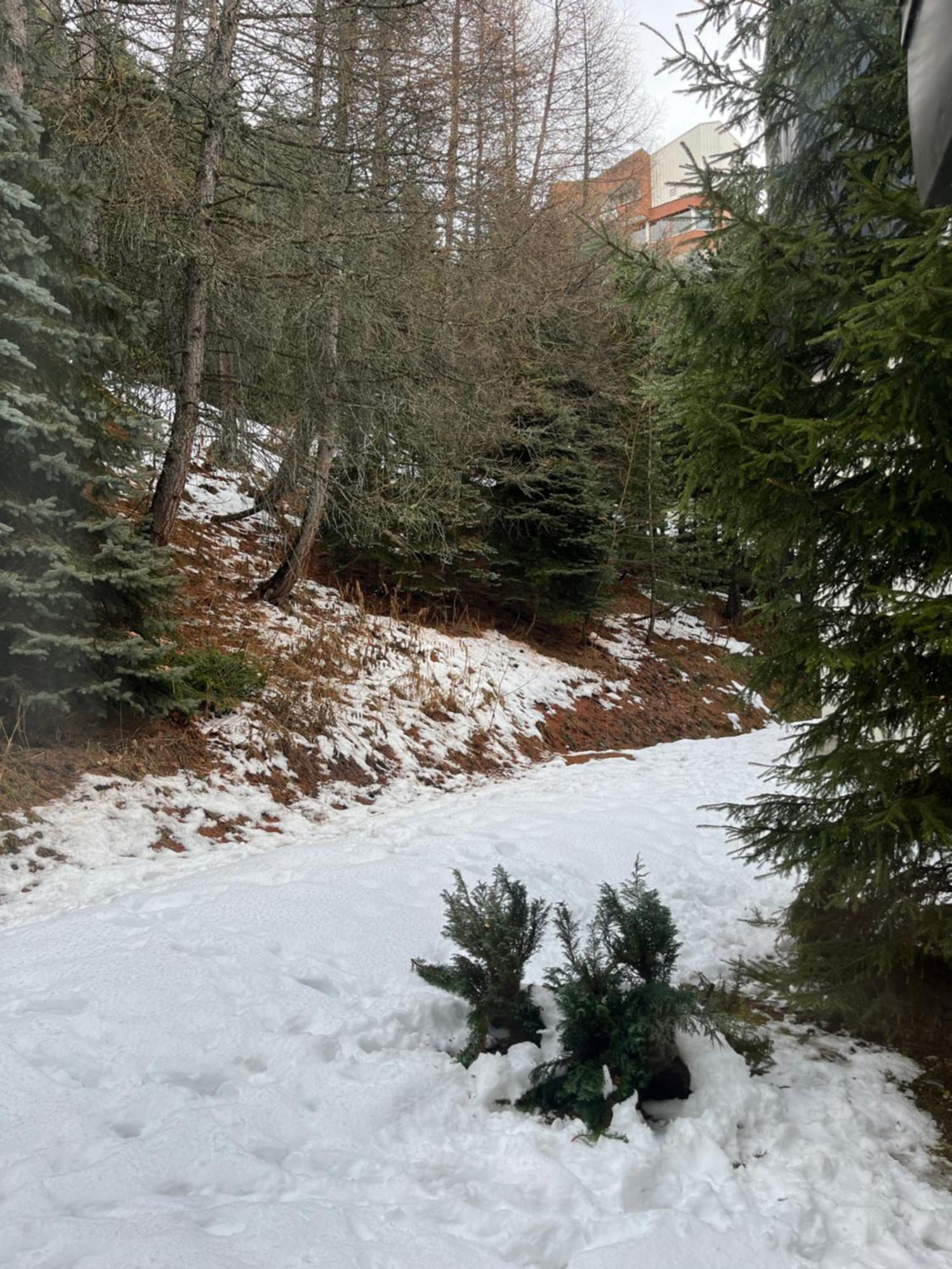 Appartement Les Menuires - 4 Personnes A 20 M Des Pistes سان-مارتن-دي-بيفيل المظهر الخارجي الصورة